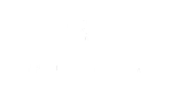 logo2