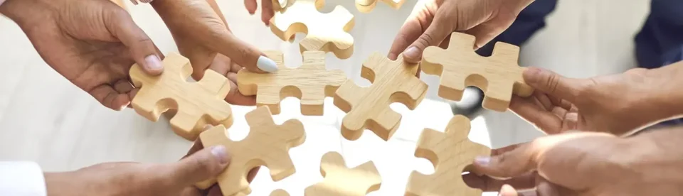 Στρατηγικοί Συνεργάτες